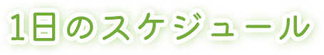 1日のスケジュール
